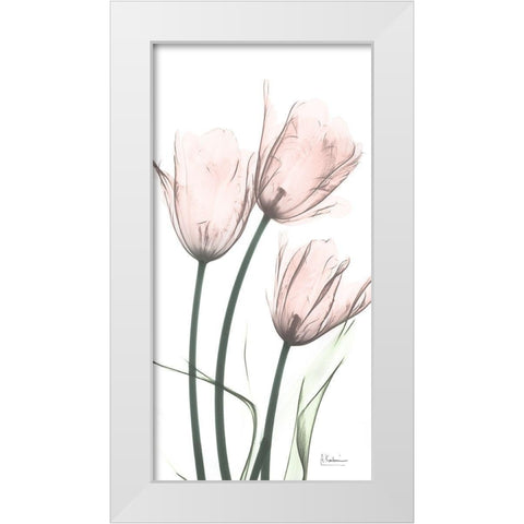 Strawberry Infused Tulips White Modern Wood Framed Art Print by Koetsier, Albert