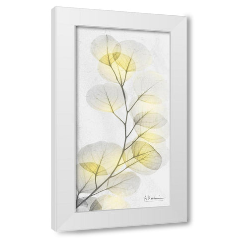 Eucalyptus Sunshine 1 White Modern Wood Framed Art Print by Koetsier, Albert