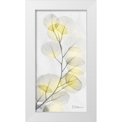 Eucalyptus Sunshine 1 White Modern Wood Framed Art Print by Koetsier, Albert