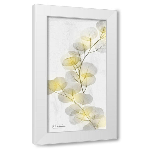 Eucalyptus Sunshine 2 White Modern Wood Framed Art Print by Koetsier, Albert