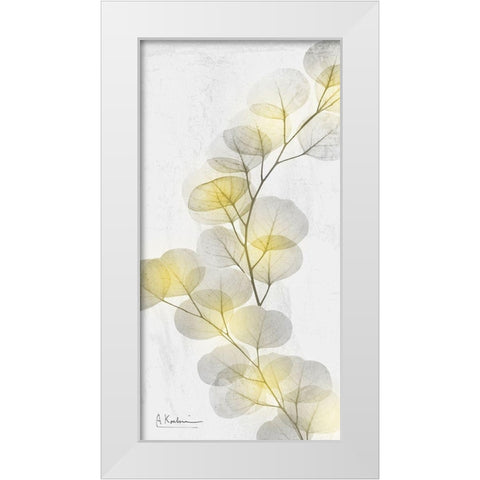 Eucalyptus Sunshine 2 White Modern Wood Framed Art Print by Koetsier, Albert