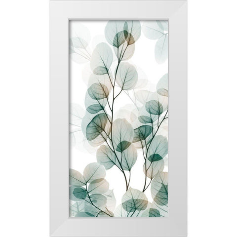 Natural Reach 1 White Modern Wood Framed Art Print by Koetsier, Albert