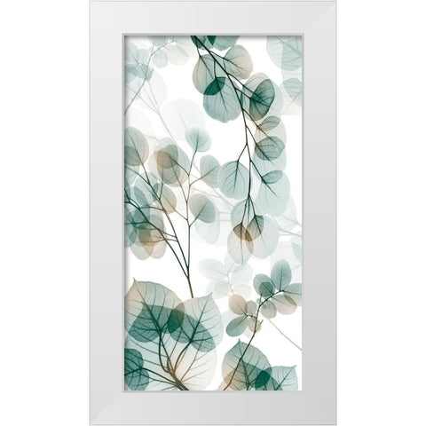 Natural Reach 2 White Modern Wood Framed Art Print by Koetsier, Albert