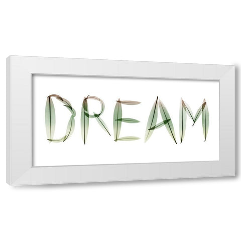 Dream White Modern Wood Framed Art Print by Koetsier, Albert