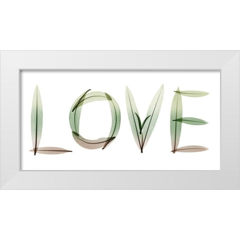 Love White Modern Wood Framed Art Print by Koetsier, Albert