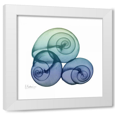 Sea Sky Snails White Modern Wood Framed Art Print by Koetsier, Albert