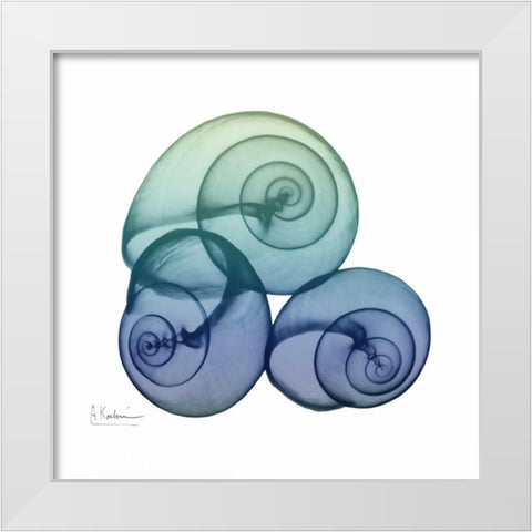 Sea Sky Snails White Modern Wood Framed Art Print by Koetsier, Albert