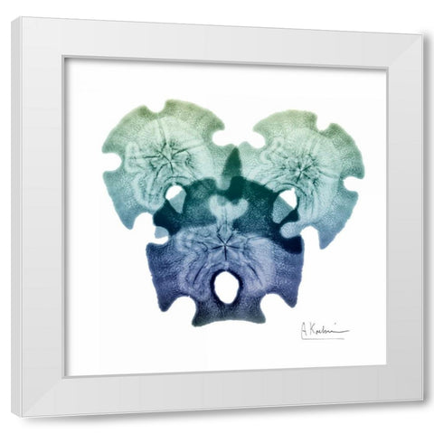 Sea Sky Sand Dollars White Modern Wood Framed Art Print by Koetsier, Albert