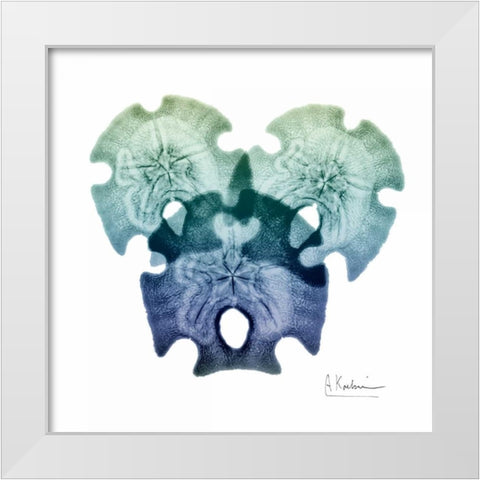 Sea Sky Sand Dollars White Modern Wood Framed Art Print by Koetsier, Albert