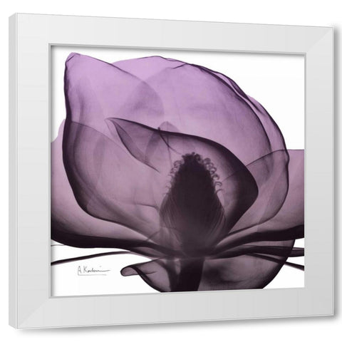 Magnolia Wine Beauty White Modern Wood Framed Art Print by Koetsier, Albert