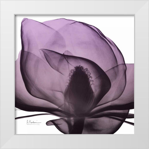 Magnolia Wine Beauty White Modern Wood Framed Art Print by Koetsier, Albert