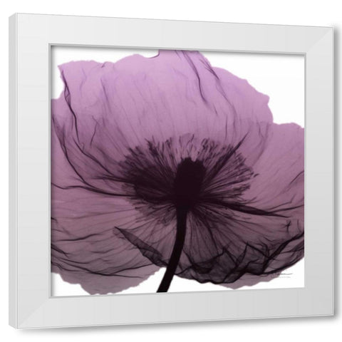 Poppy Purple White Modern Wood Framed Art Print by Koetsier, Albert