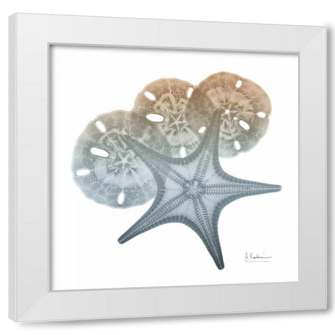 Earthy Hues Starfish and Sand Dollar White Modern Wood Framed Art Print by Koetsier, Albert