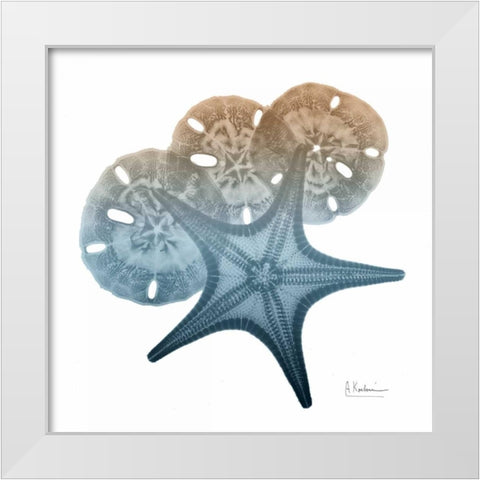 Steel Hues Starfish and Sand Dollar White Modern Wood Framed Art Print by Koetsier, Albert