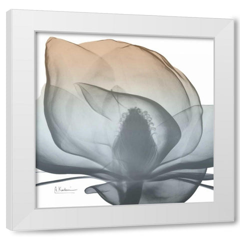 Magnolia Earthy Beauty New White Modern Wood Framed Art Print by Koetsier, Albert