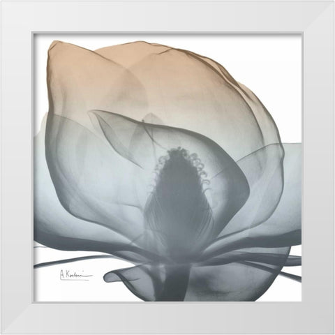 Magnolia Earthy Beauty New White Modern Wood Framed Art Print by Koetsier, Albert