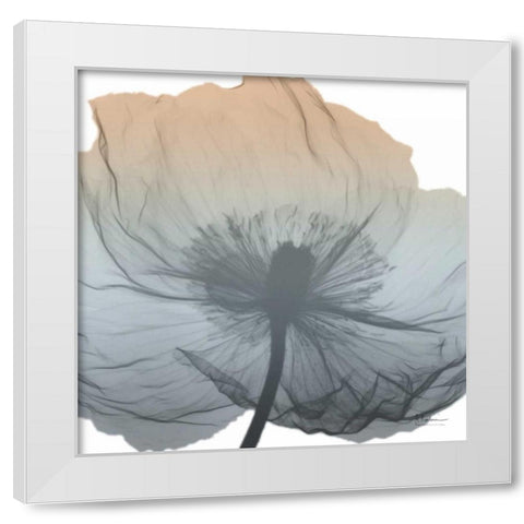 Poppy Earthy Beauty White Modern Wood Framed Art Print by Koetsier, Albert