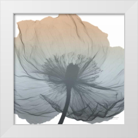 Poppy Earthy Beauty White Modern Wood Framed Art Print by Koetsier, Albert