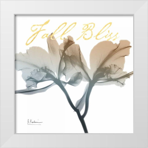 Blessed Orchid White Modern Wood Framed Art Print by Koetsier, Albert