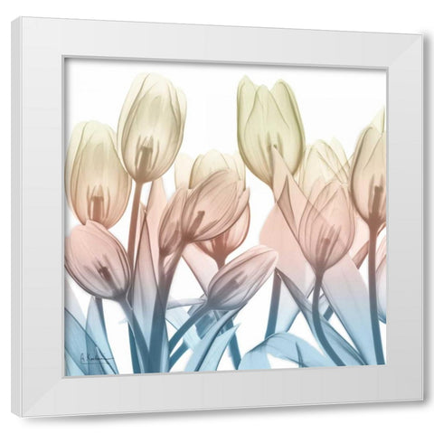 Fantastic Bloom White Modern Wood Framed Art Print by Koetsier, Albert