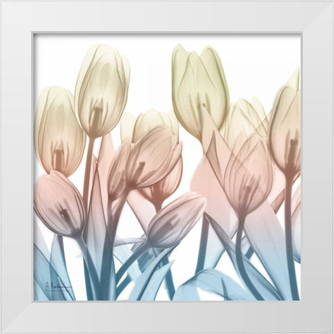 Fantastic Bloom White Modern Wood Framed Art Print by Koetsier, Albert