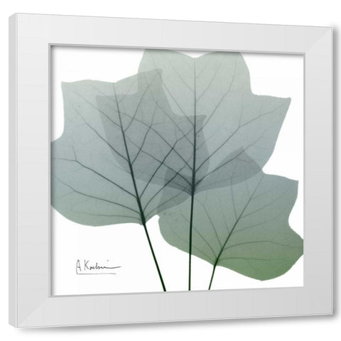 Rainy Tulip Tree White Modern Wood Framed Art Print by Koetsier, Albert