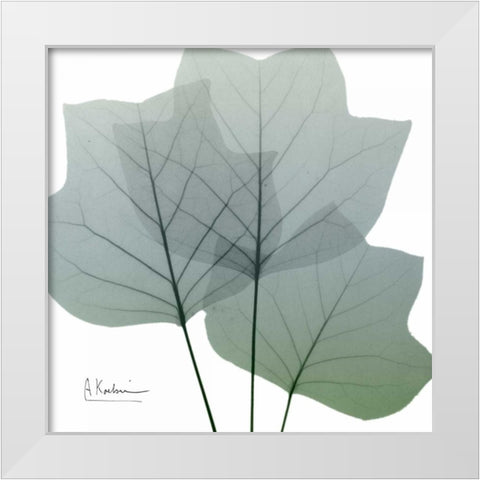 Rainy Tulip Tree White Modern Wood Framed Art Print by Koetsier, Albert