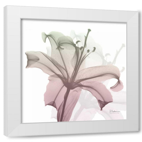 Neapolitan Lily White Modern Wood Framed Art Print by Koetsier, Albert