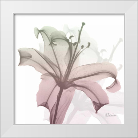 Neapolitan Lily White Modern Wood Framed Art Print by Koetsier, Albert