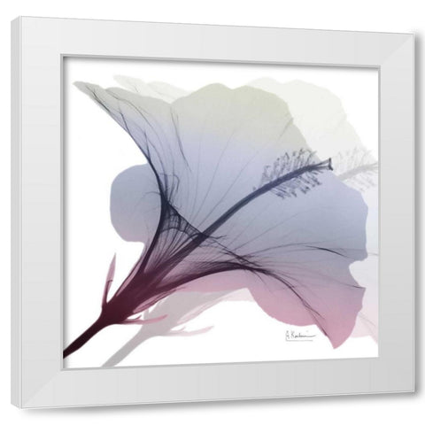 Tasty Grape Hibiscus 2 White Modern Wood Framed Art Print by Koetsier, Albert