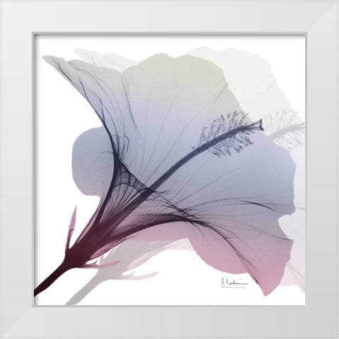 Tasty Grape Hibiscus 2 White Modern Wood Framed Art Print by Koetsier, Albert