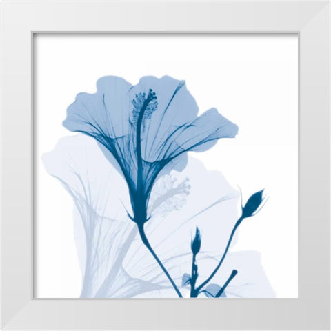 Hibiscus Chiller White Modern Wood Framed Art Print by Koetsier, Albert