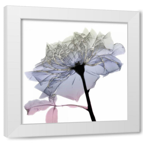 Silver Splash 3 White Modern Wood Framed Art Print by Koetsier, Albert