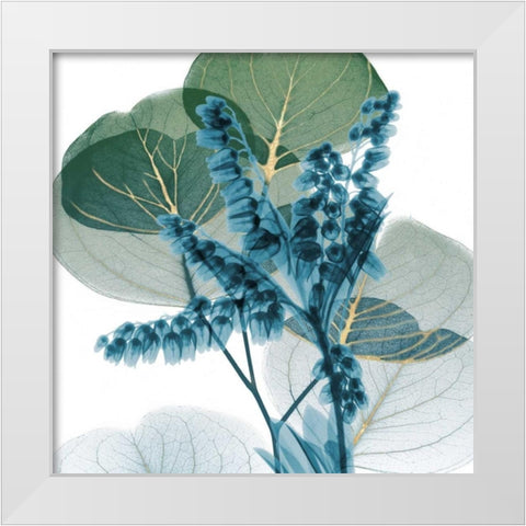 Golden Lilly Of Eucalyptus 2 White Modern Wood Framed Art Print by Koetsier, Albert
