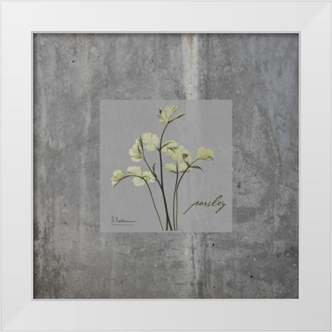 Concrete Parsley White Modern Wood Framed Art Print by Koetsier, Albert