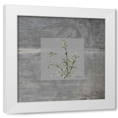 Concrete Thyme White Modern Wood Framed Art Print by Koetsier, Albert