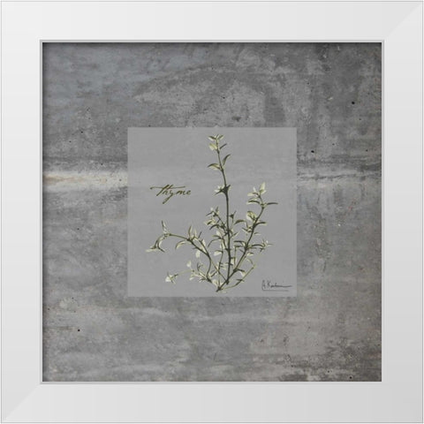 Concrete Thyme White Modern Wood Framed Art Print by Koetsier, Albert