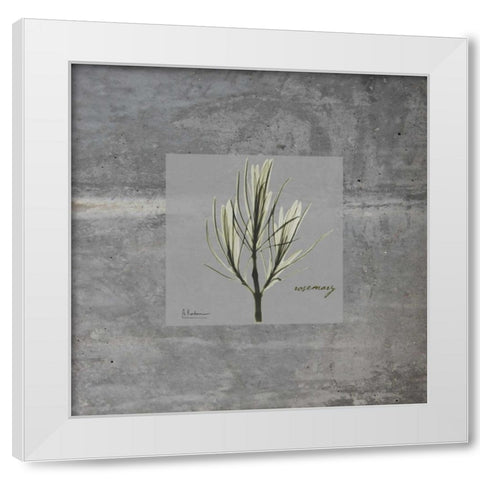 Concrete Rosemary White Modern Wood Framed Art Print by Koetsier, Albert