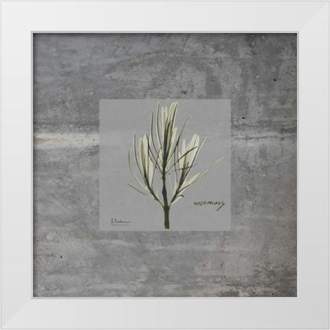 Concrete Rosemary White Modern Wood Framed Art Print by Koetsier, Albert