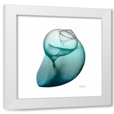 Teal Water Snail White Modern Wood Framed Art Print by Koetsier, Albert