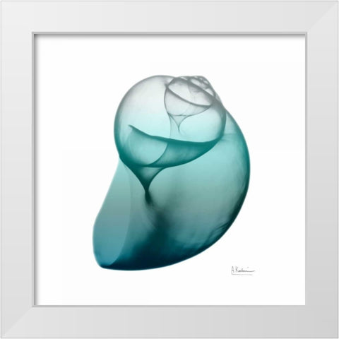 Teal Water Snail White Modern Wood Framed Art Print by Koetsier, Albert