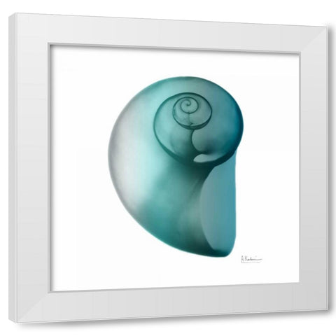 Teal Water Snail 2 White Modern Wood Framed Art Print by Koetsier, Albert