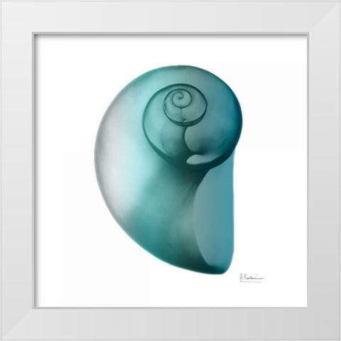 Teal Water Snail 2 White Modern Wood Framed Art Print by Koetsier, Albert