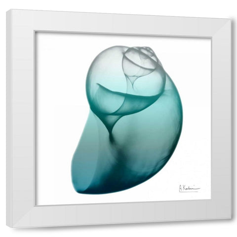 Water Snail 3 White Modern Wood Framed Art Print by Koetsier, Albert