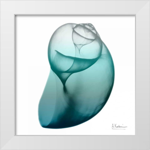 Water Snail 3 White Modern Wood Framed Art Print by Koetsier, Albert