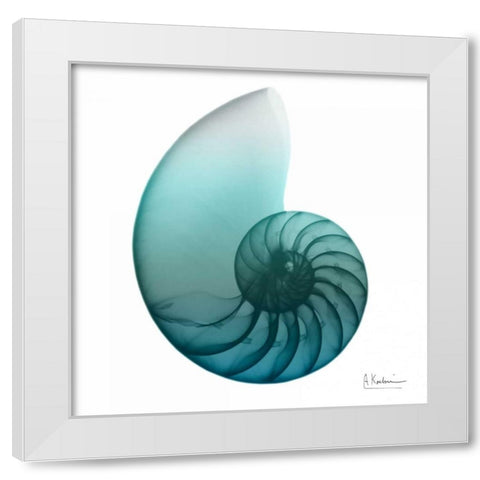 Water Snail 4 White Modern Wood Framed Art Print by Koetsier, Albert