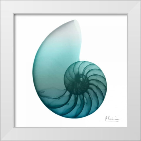 Water Snail 4 White Modern Wood Framed Art Print by Koetsier, Albert