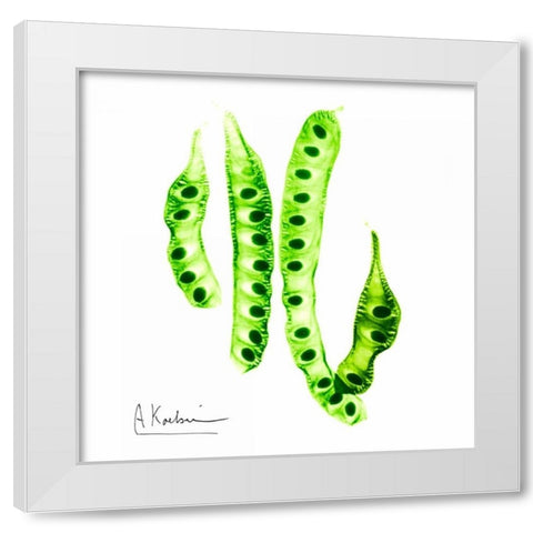 Carob Formation White Modern Wood Framed Art Print by Koetsier, Albert