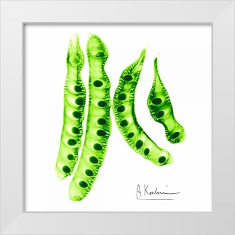 Carob Formation 2 White Modern Wood Framed Art Print by Koetsier, Albert