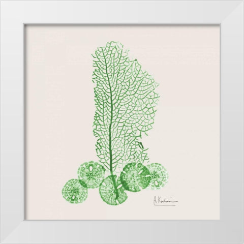 Emerald Sea Fan and Sand Dollar White Modern Wood Framed Art Print by Koetsier, Albert